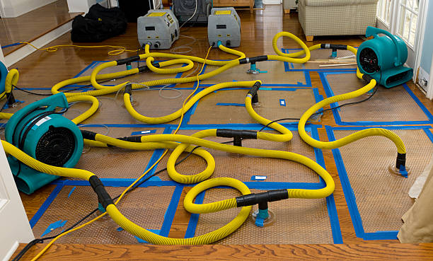 Professional Sewage Cleanup technician working in Fort Collins, CO